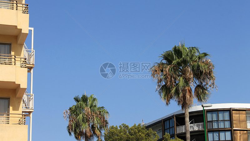 目前市场上的旅游保险种类繁多，主要包括以下几类：